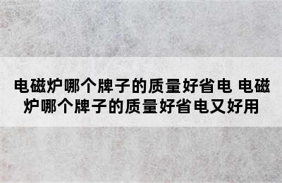 电磁炉哪个牌子的质量好省电 电磁炉哪个牌子的质量好省电又好用